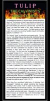 _TULIP: The Calvinist's Road To Hell