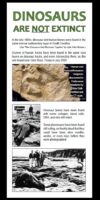 _Dinosaurs Are Not Extinct