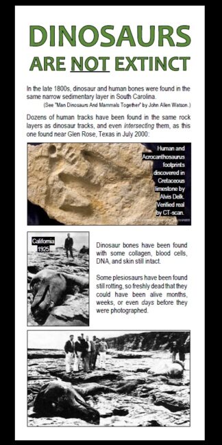_Dinosaurs Are Not Extinct
