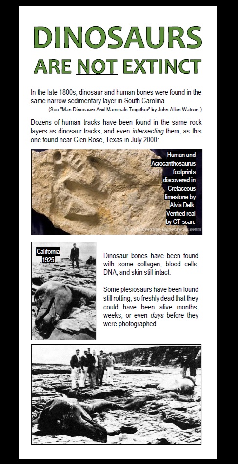 _Dinosaurs Are Not Extinct