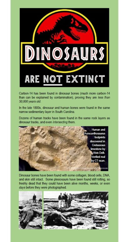 _Dinosaurs Are Not Extinct